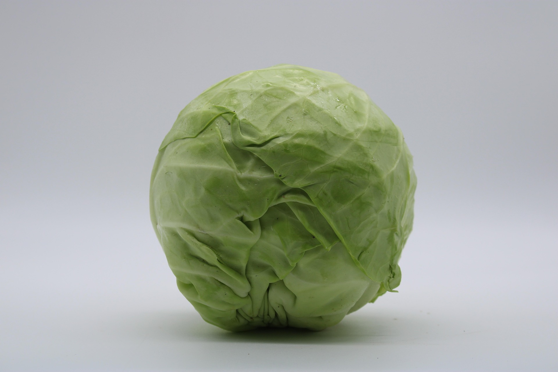 Cabbage